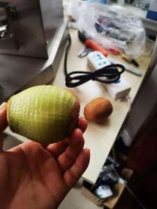 Small Electric 304 Stainless Steel <b>Fruit</b> & <b>Vegetable</b> Citrus Peeling <b>Machine</b> - Product Image 5