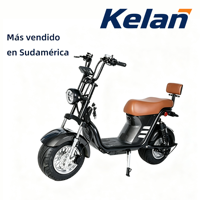 Vélo Électrique X21 Citycoco 1000W à Pneus Larges, Scooter Électrique 60V avec Batterie au Lithium, Vente en Gros Usine pour le Brésil
