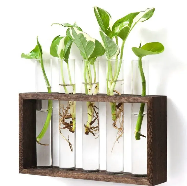 Wall Mounted Hanging Tube Planter Wooden Stand Glass Planter Propagation Station Test Tube Vase Flower Pot Hydroponic Plants