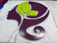 Enseigne lumineuse personnalisée en lettres 3D rétroéclairées par LED, en acier inoxydable, étanche IP65, pour les bâtiments commerciaux et les magasins