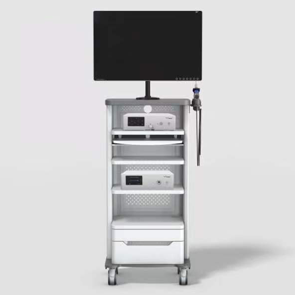 SY-PS048T Veterinary Full HD Endoscopy Camera System Tower Endoscope Imaging System