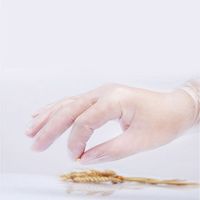 Guangzhou Prix du fabricant Gants jetables en vinyle Gants en PVC imperméables de bonne qualité pour l'industrie alimentaire 100 pièces par boîte