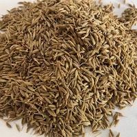 Tanaman Baru Rempah-rempah Tunggal dan Herbal Mentah Biji Jinten Kering Biji Jinten Cina