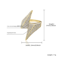 2025 disesuaikan mikro Pave Pria Wanita Mode Cincin petir perak emas mawar emas disepuh 14K Zircon mikro Pave cincin bertatahkan