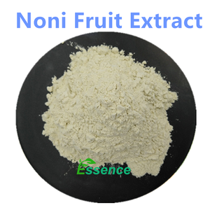 Doğal İçerik 10:1 20:1 Noni Meyve Ekstresi Tozu En İyi Fiyatla - Product Image 2