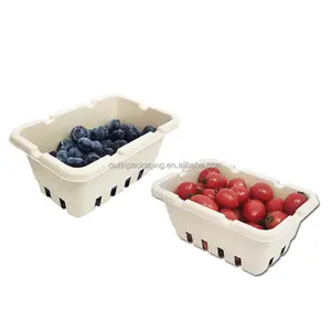 Tampilan Supermarket Biodegradable Buah Ramah Lingkungan Kemasan Cetakan Kotak Bubur Serat untuk Buah Berry Cherry Tomat Jamur