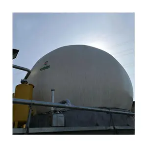 Système de biogaz à double membrane de bonne qualité en Chine/support de biogaz/support de gaz méthane