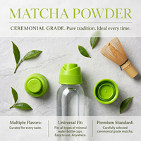 WELLBODY OEM Capsules de Matcha Personnalisées en Gros avec Poudre de Matcha Instantanée pour Boisson 2g/Capsule Bouteille Capsules de Poudre Aromatisées