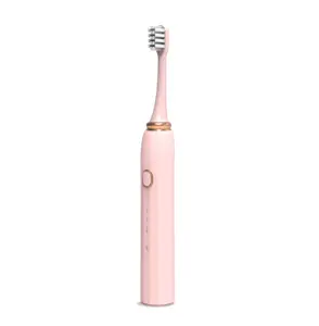Electric Factory Price Oral, Hygiene Intelligent Rechargeable Automatic Whitening Sonic Waterproof Electric Toothbrush/