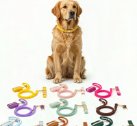 Collier simple en PU pour animaux de compagnie, laisse pour chien et chat, sac à déjections canines, corde ronde