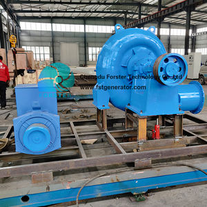 프리 에너지 75kw 프랜시스 수력 터빈 발전기 포스터 HL220-WJ-35 18m-60m 디자인 헤드 220V/380V/400V - Product Image 2