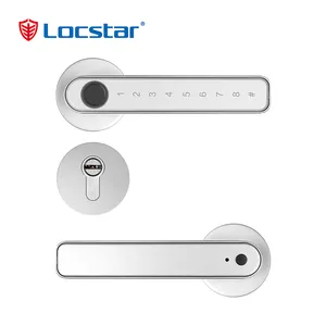 Locstar Tuya Fingerprint Electric Handle Lock Ttlock Smart Home Door Lock Biometric Fingerprint Lock For Wooden Door