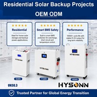 Batterie murale multi-capacités Hysonn LFP 5,12 kWh 11,77 kWh 16,07 kWh 51,2 V pour projets de sauvegarde solaire résidentielle OEM ODM