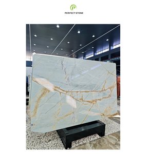 Chi nhánh vàng của gạch đá cẩm thạch Biển Đá tự nhiên thanh lịch cho các bức tường bàn cao cấp và các ứng dụng sàn - Product Image 1