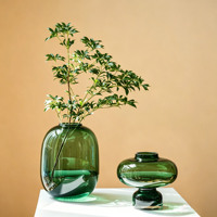 Vase en verre vert de style nordique créatif, récipient pour plantes hydroponiques, ornement décoratif pour salon et table à manger