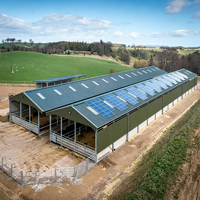 Hangar agricole moderne en acier pour écurie, atelier, garage et usage agricole - Structure en acier durable