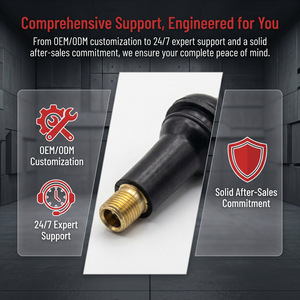 YuanMech – Noyau de valve de <span class=keywords><strong>pneu</strong></span> en laiton de qualité supérieure, haute durabilité, pour valve <span class=keywords><strong>Schrader</strong></span>, pour voiture, camion, moto - Product Image 5