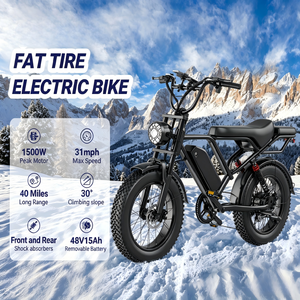 Vélo électrique tout-terrain à gros pneus, moteur 750W, batterie 48V 15Ah, suspension intégrale, pour neige, plage, montagne, route en pierres - Product Image 6