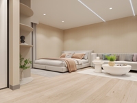 Villa préfabriquée moderne de haute qualité, grande maison conteneur extensible pour la vie en famille, maison préfabriquée 2 chambres