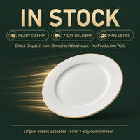 Assiettes plates en porcelaine fine neuves, prêtes à être expédiées, certifiées FDA et CE, faible MOQ, livraison rapide, en stock