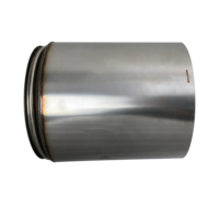 Filtro Antiparticolato Diesel DPF Universale per Motori Diesel, Filtro Antifumo OEM 5801907073, Vendita Diretta dalla Fabbrica