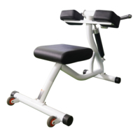 Leekon Circuit Hydraulique Équipement D'entraînement Biceps Curl/Triceps Machine De Presse Femmes Exercice Gym Chaise D'entraînement