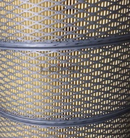 20732726 Filtre à air Leikst AF25634 5010317187 FC-2001 SA 17418 SA17418 AF26244 AF25333 5001865723 P785522 E452L01