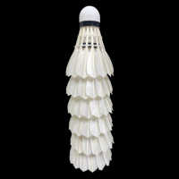 LINGSHANG LS300 Notre usine produit des volants de badminton de haute qualité, emballage OEM et marque OEM.