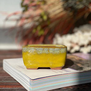 Pot de fleurs carré en céramique Pot de fleurs en céramique succulente respirante simple en pot de bureau - Product Image 6