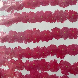 12 pièces/sac <span class=keywords><strong>verveine</strong></span> ongles artisanat fait à la main pour Nail Art décoration petites fleurs pressées - Product Image 4