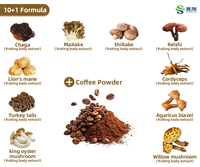 Café aux champignons 7 en 1, mélange de café Arabica, café aux champignons pour soulager le stress, poudre de café aux champignons, mélange de poudre de champignons