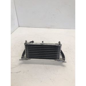 Radiatore Olio per BMW S 1000 XR 2014-2019, S 1000 R 2013-2016, S 1000 RR 2009-2014 - Product Image 2