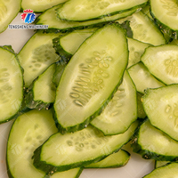 Cortadora Comercial de Frutas y Verduras, Rebanadora Eléctrica de Zanahorias, Picadora de Patatas, Cortadora de Chips de Plátano, Máquina para Cortar Repollo
