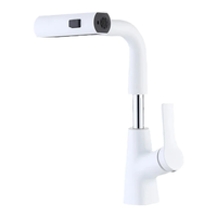 Robinet de cuisine moderne à une poignée Robinet pulvérisateur coulissant gris contemporain Noyau de valve en céramique pour les cuisines