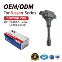 Koil Pengapian Baru OE NS-9003DL 22448-1HM0A 17210-15900 untuk Nissan |   Garansi 2 Tahun