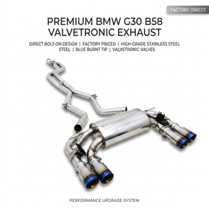 Silencieux d'échappement arrière en acier inoxydable Valvetronic avec embout bleu brûlé pour <span class=keywords><strong>BMW</strong></span> G30 B58 <span class=keywords><strong>540i</strong></span>, <span class=keywords><strong>prix</strong></span> d'usine - Product Image 1