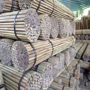 Estacas de Bambú Natural de Origen Vietnamita para Soporte Agrícola, Cañas de Jardín para Vegetales, Flores, Viveros y Viñedos (Venta al Por Mayor) - Product Image 1