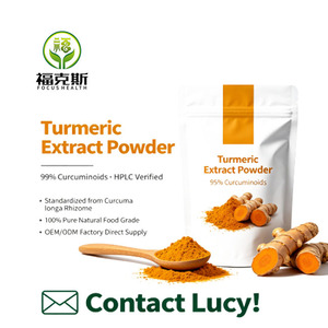Polvo de Curcumina Pura al 95%, Verificado por HPLC, Extracto de Raíz de Cúrcuma, Sin Adulteración, Grado Alimenticio y Cosmético, Fabricante a Granel - Product Image 2