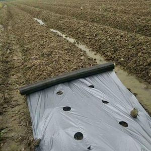 LDPE/EVA/PE rouleau Film Emballage Matériaux Transparent En Plastique Serre Paillis film UV Antigel Bâche Imperméable À La Pluie - Product Image 2