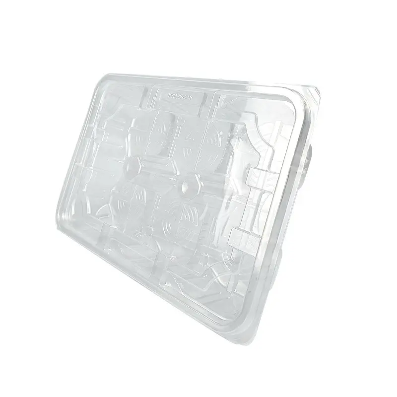 Großhandel transparente Take-out-Boxen Kunststoff Blister Clam shell Cookie Tray Lebensmittel verpackung