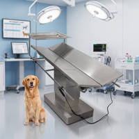 Table d'opération chirurgicale électrique thermostatée pour animaux de compagnie, en acier inoxydable 304, lit d'examen réglable en hauteur, qualité hospitalière, pour dissection ACS