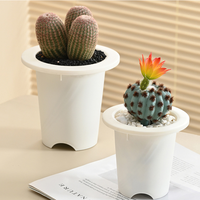 Pot de fleurs en plastique multi-spécifications, surélevé et épaissi, noir et blanc, pour plantes succulentes et vertes, vente en gros