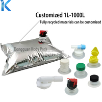 Sac de boisson BIB personnalisé de 48 oz, 96 oz, 128 oz avec valve pour vin, boisson, jus, conception réutilisable, poche à eau, emballage en plastique