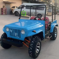 Voiture Jeep Miniature Personnalisée Richi, Électrique et à Essence, Automatique, Moteur 200cc 250cc 3000W, Véhicule Neuf à Grande Vitesse