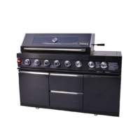 Barbecue d'extérieur professionnel en acier inoxydable, avec accessoires et outils, fumoir de cuisine, ensemble de gaz de table, station d'îlot robuste pour barbecue au charbon de bois
