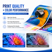 Tinta Eco Solvente Premium de 1L CMYK para I3200 I1600 XP600 DX5 DX7, Suministro al por Mayor de Fábrica OEM para Impresión Digital en Vinilo y Pancartas