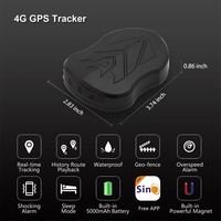 Sinotrack-Localizador GPS global de 5000mAh, dispositivo magnético de seguimiento de vehículos, impermeable, inalámbrico, Mini 4G, para coche