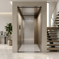 Ascensore per Villa con Telaio in Acciaio Inox, Controllo Intelligente a Microcomputer, Design Moderno per Uso Domestico, Opzioni Pavimento in PVC