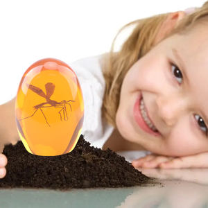 Özel moda Jurassic reçine 2D sivrisinek Amber gerçekçi Jurassic tahsil sivrisinek PaperWeight - Product Image 2