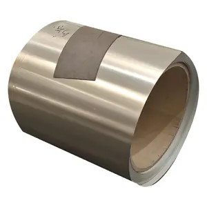 PPGI/PPGL/PCM/VCM Metal Sheet/Prepainted Galvanized Steel Coil/Pre-Coated Metal for Refrigerator Dish washer